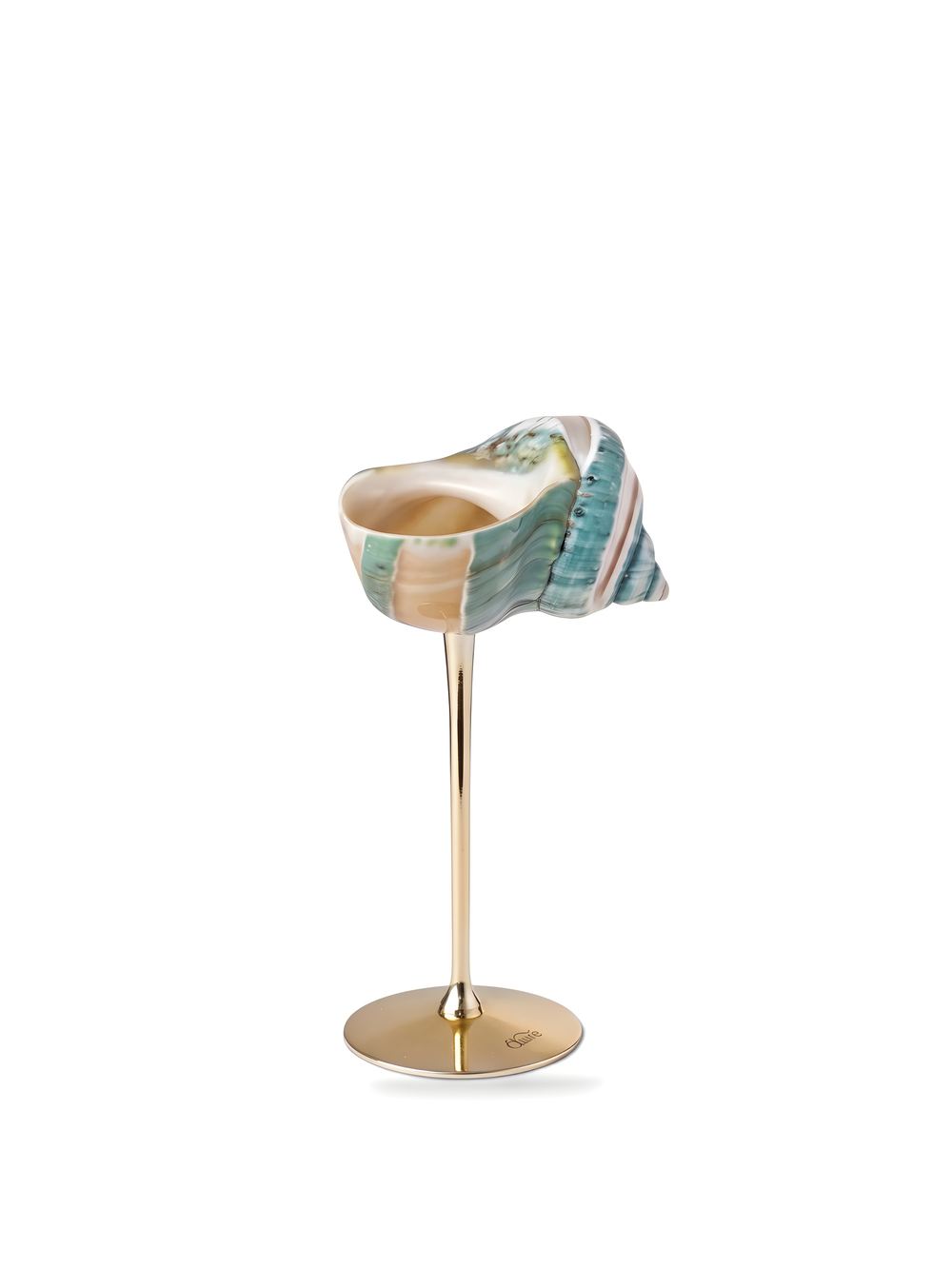 Muschel Gold