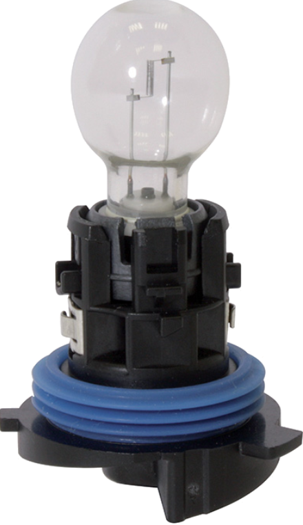 AMPUL 12V 24W HP24W