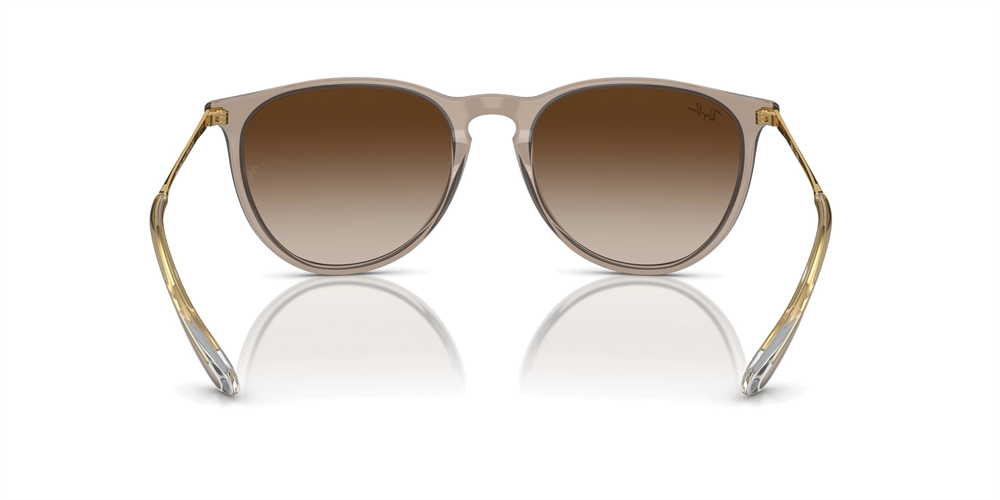 RAYBAN RB 4171 Erika 674413 54
