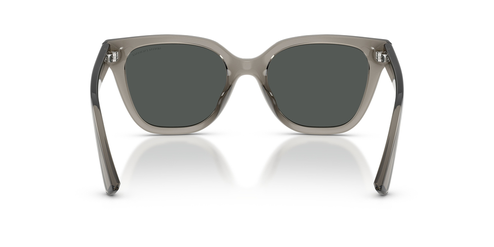 ARMANI EXCHANGE AX 4164SU 839487 53