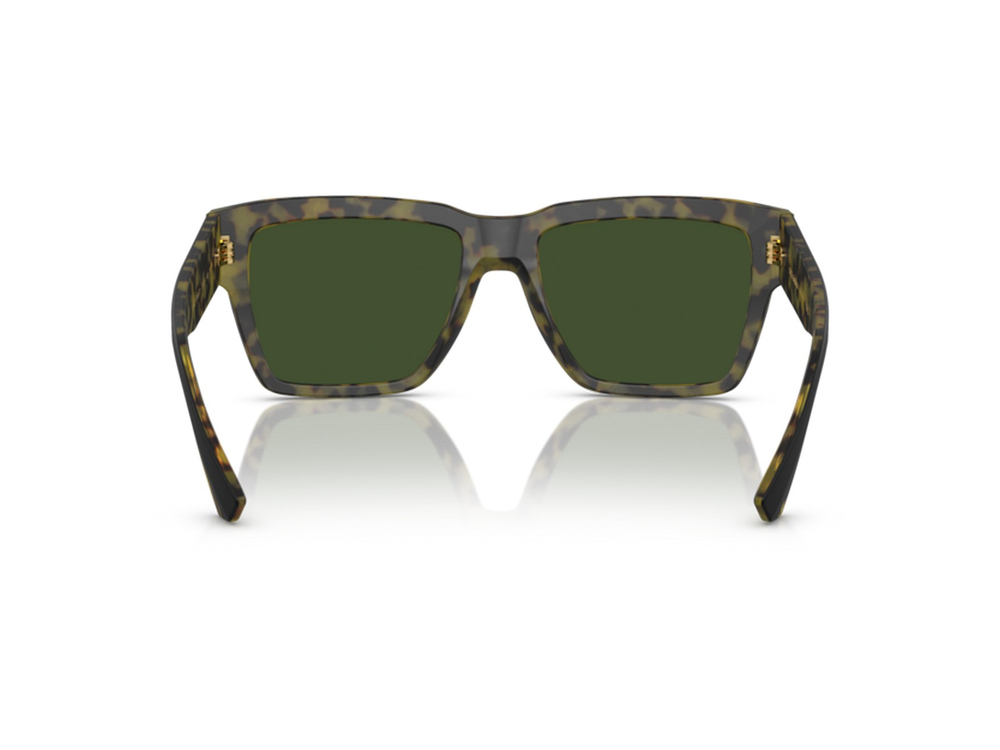 DOLCE GABBANA DG 4431 3404/71 55