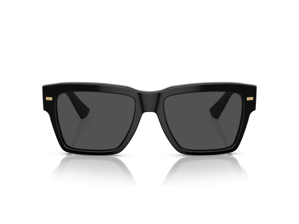 DOLCE GABBANA DG 4431 501/87 55
