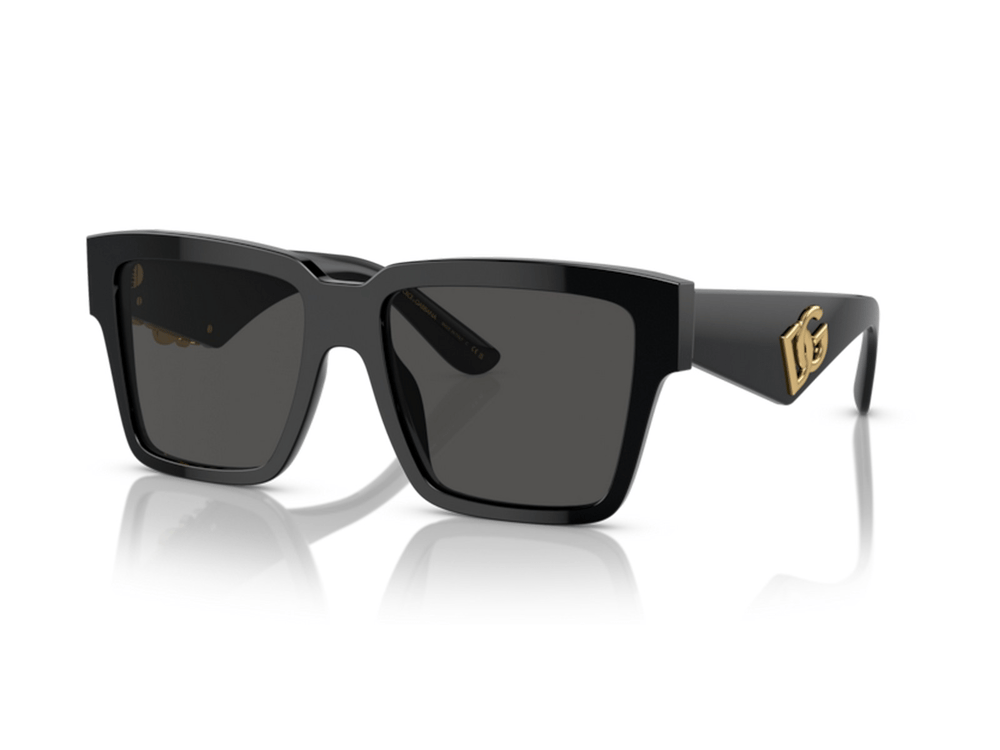 DOLCE&GABBANA DG 4436 501/87 55