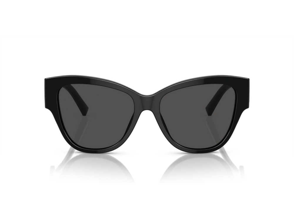 DOLCE GABBANA DG 4449 501/87 54