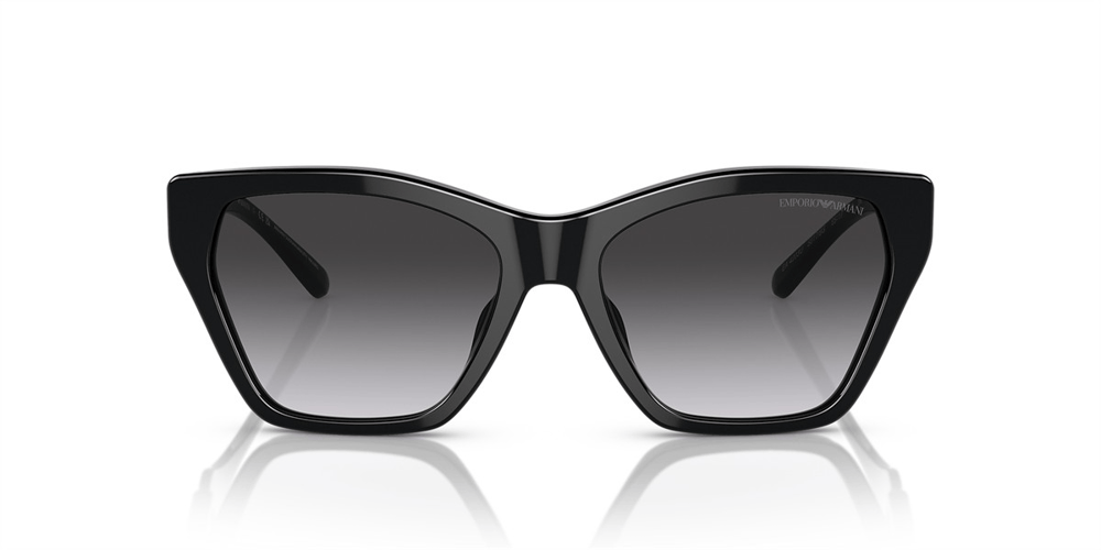 EMPORIO ARMANI EA 4203 5017/8G 55