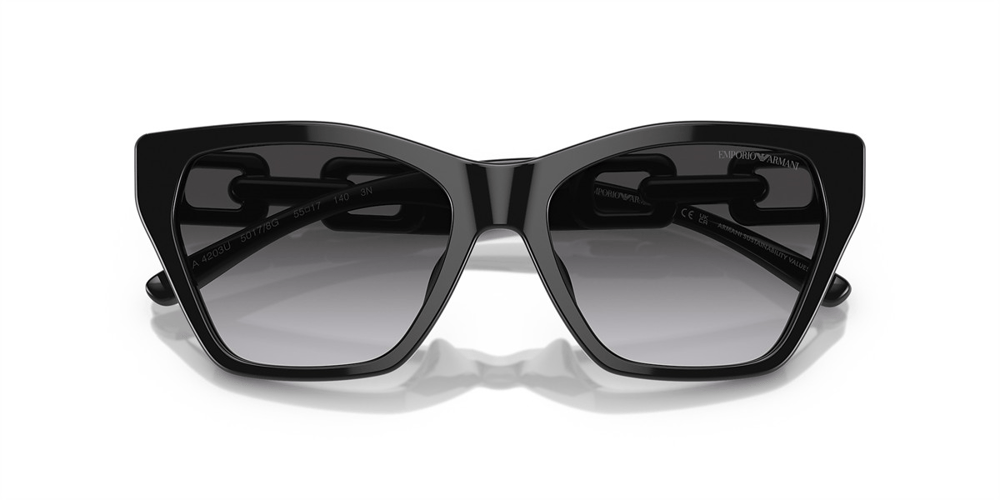 EMPORIO ARMANI EA 4203 5017/8G 55