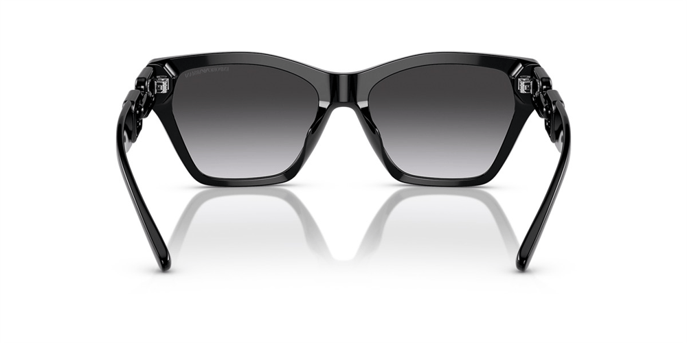 EMPORIO ARMANI EA 4203 5017/8G 55