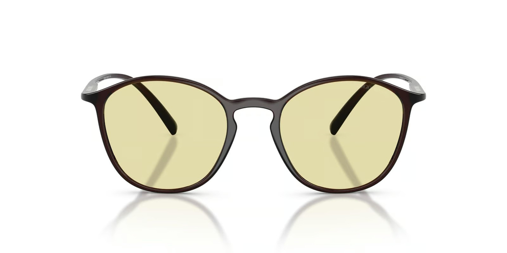 GIORGIO ARMANI AR 8233U (Güneşte Koyulaşan) 6239M4 51
