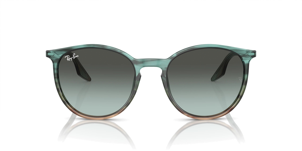 RAYBAN RB 2204 1394GK 54