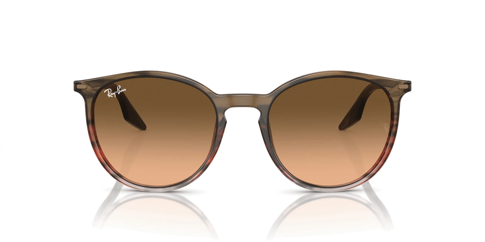 RAYBAN RB 2204 13953B 54
