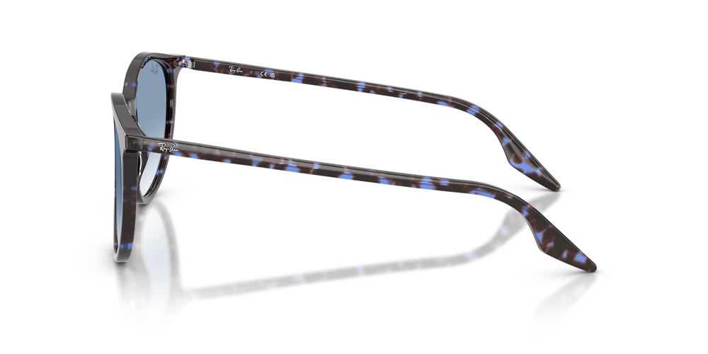 RAYBAN RB 2204 14303F 54