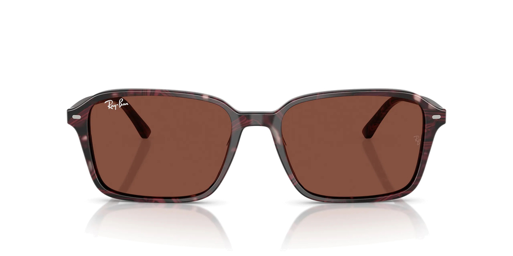 RAYBAN RB 2231 Raimond 1416/C5 58