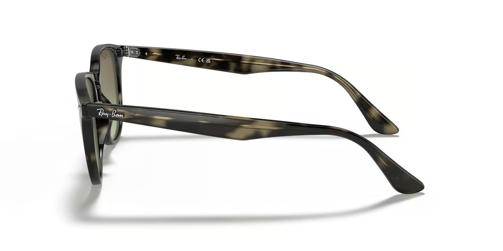 RAYBAN RB 4259 731/E8 51