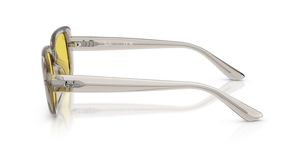 RAYBAN RB 4421-D 681885 56