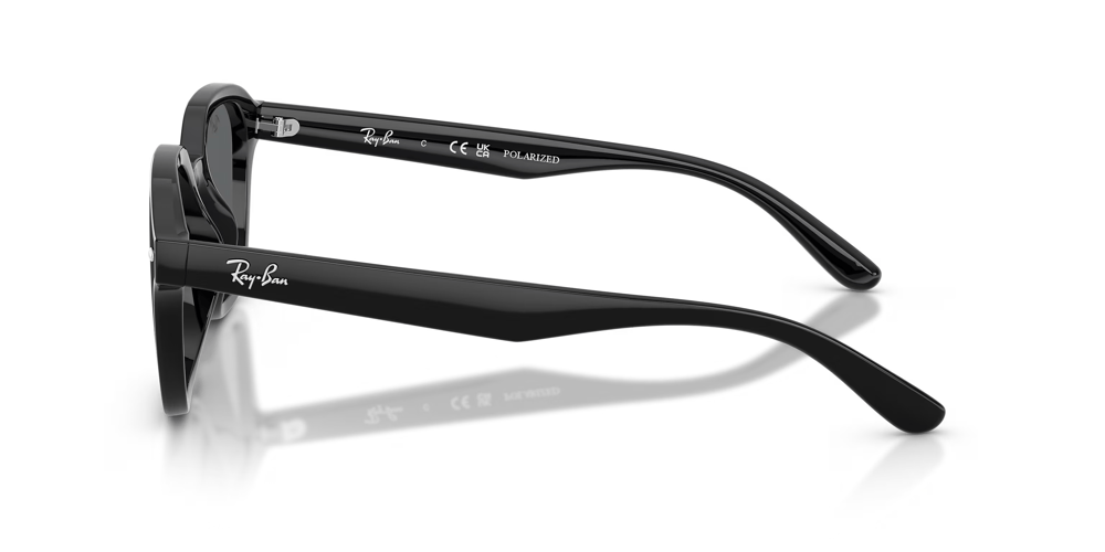 RAYBAN RB 4458-D 601/81 65