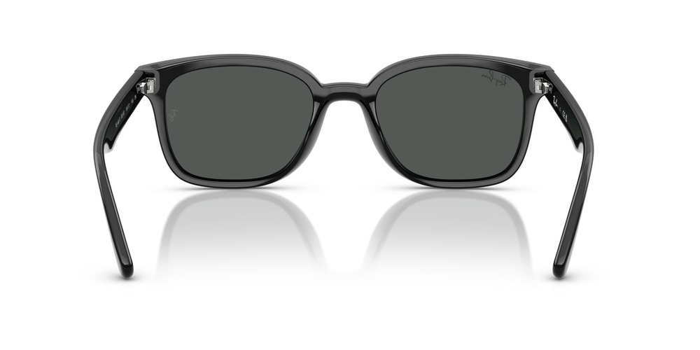 RAYBAN RB 4461-D 601/87 64