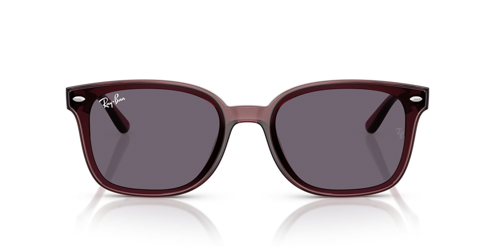 RAYBAN RB 4461-D 6593/73 64