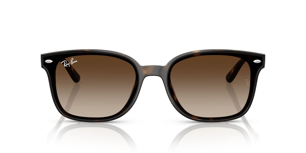 RAYBAN RB 4461-D 710/13 64