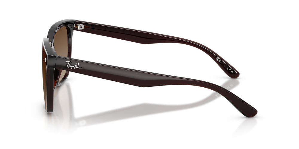RAYBAN RB 4466-D 714/13 47