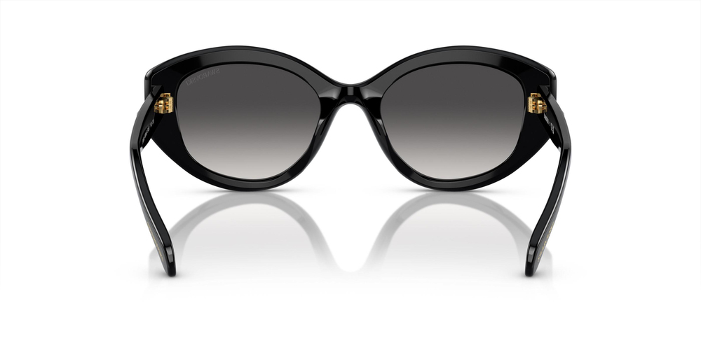 SWAROVSKİ SK 6005 1001/8G 53