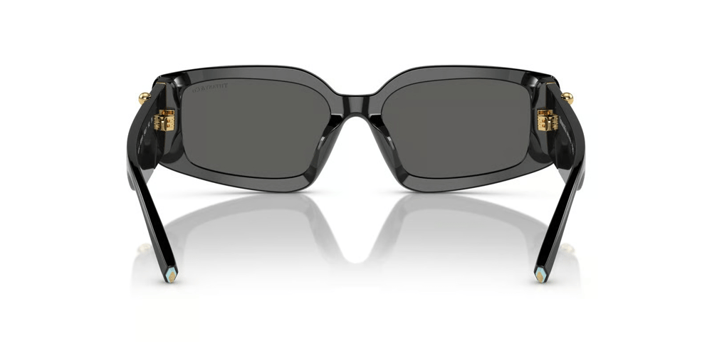 TIFFANY CO. 4208U 8001S4 54