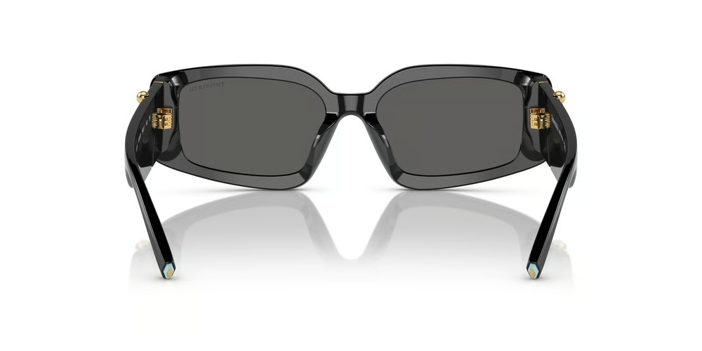 TIFFANY CO. 4208U 8001S4 54