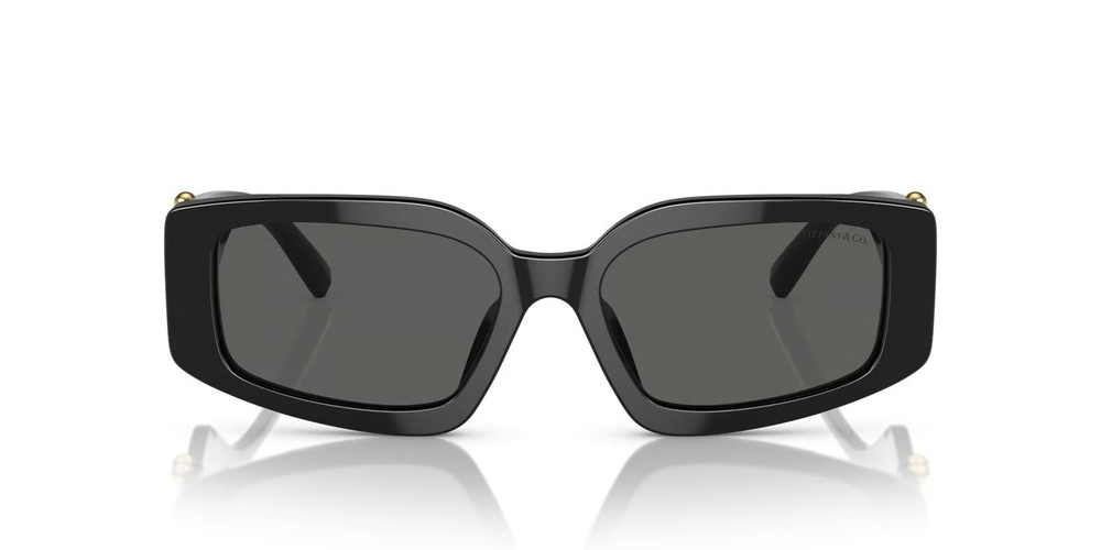 TIFFANY CO. 4208U 8001S4 54