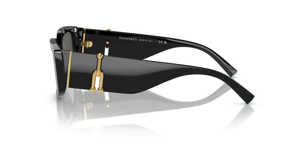 TIFFANY CO. 4208U 8001S4 54