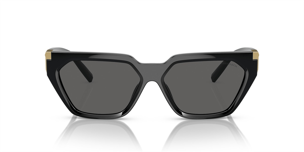 TIFFANY CO. 4205U 8001S4 56