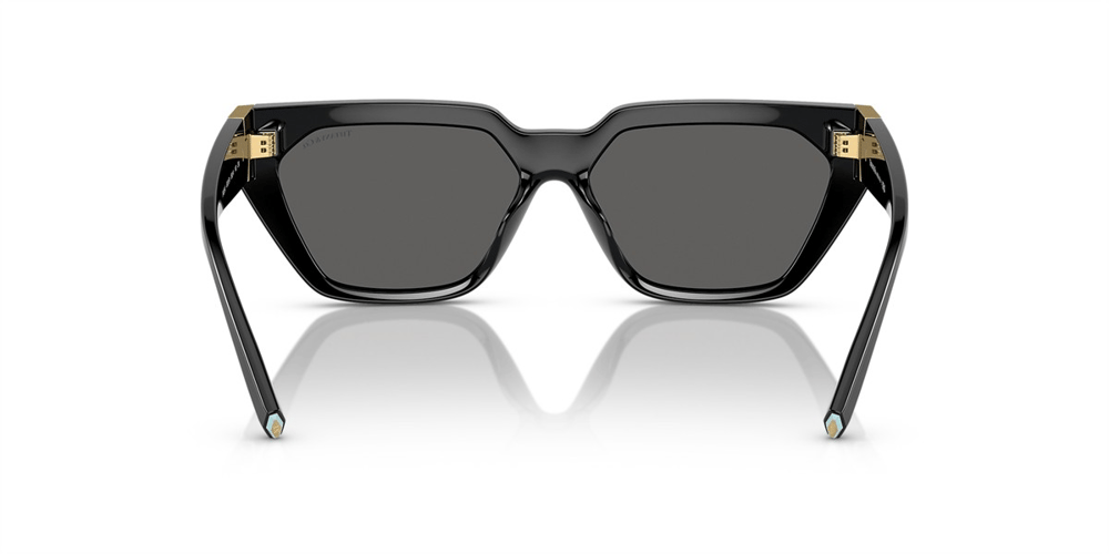 TIFFANY CO. 4205U 8001S4 56