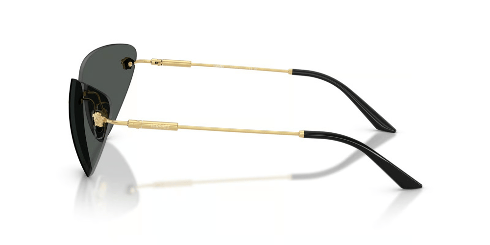VERSACE 2281 1002/87 64