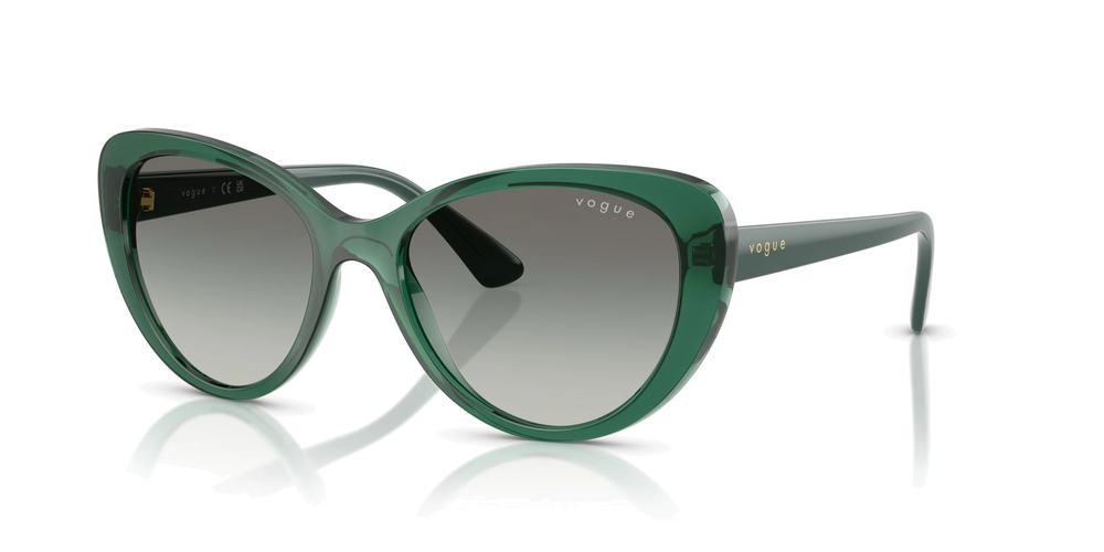 VOGUE VO 5649-SI 283411 54