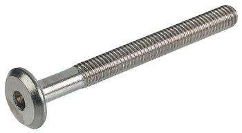 Yassı başlı vida nikel kpl.M6x65mm