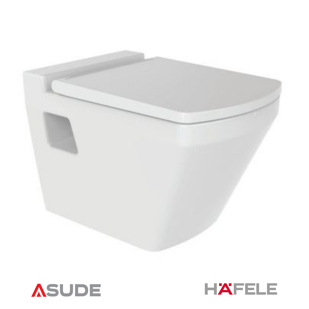 FLATE WALL S52 Asma klozet,parlak beyaz