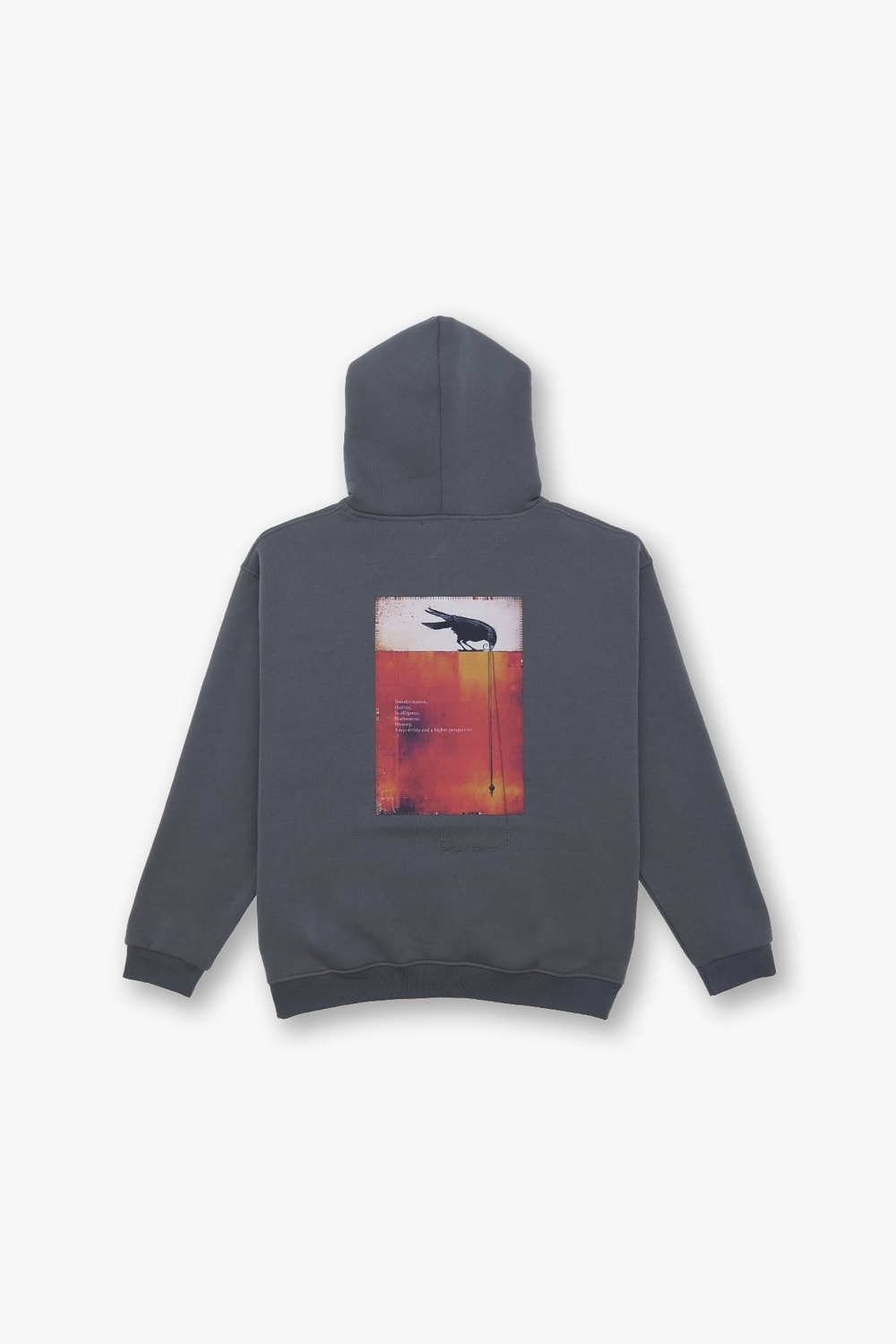 Crow of Transformation Oversize Sweatshirt Erkek Füme