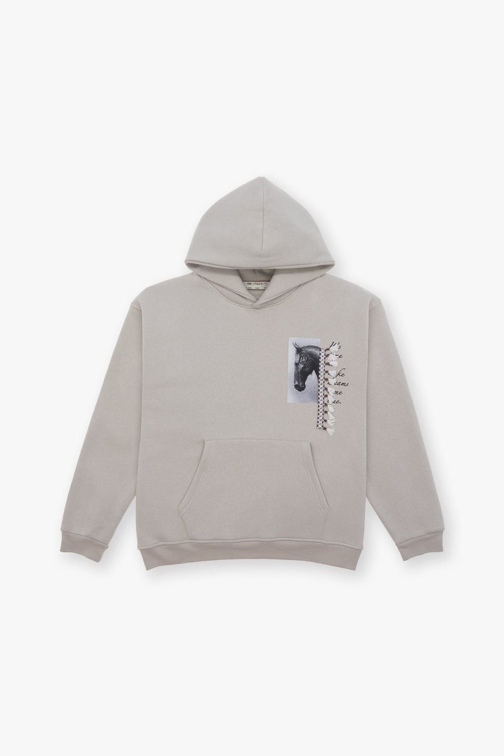 Wild Spirit Oversize Sweatshirt Erkek Stone