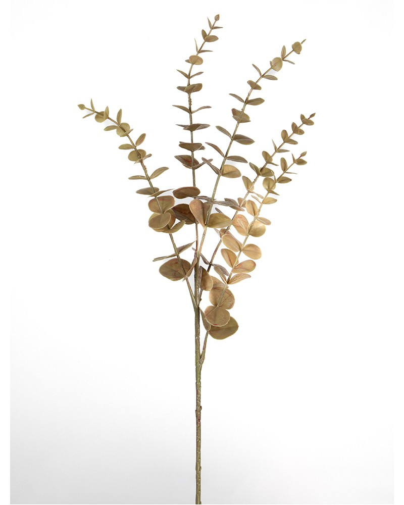 0106304 OKALIPTUS DAL 74 CM