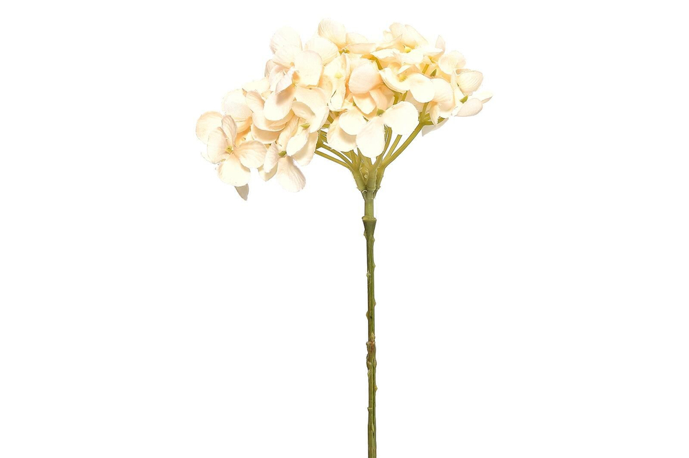 215­037WH ORTANCA DAL (WHITE)