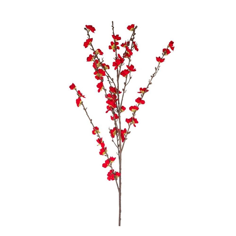 KUK 272-1110 CHIMONANTH BRANCH 127CM