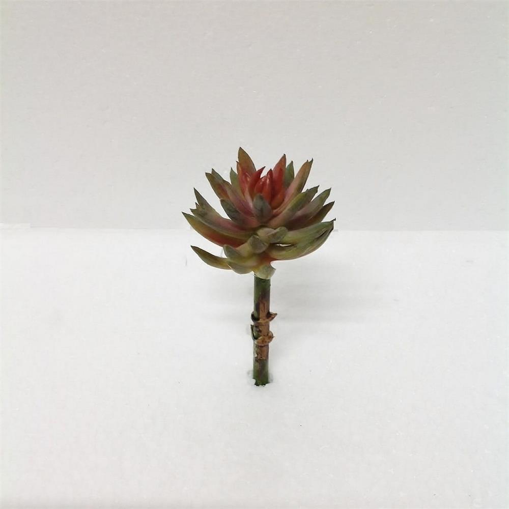 KUK 272-1120 SUCCULENT PICK 16