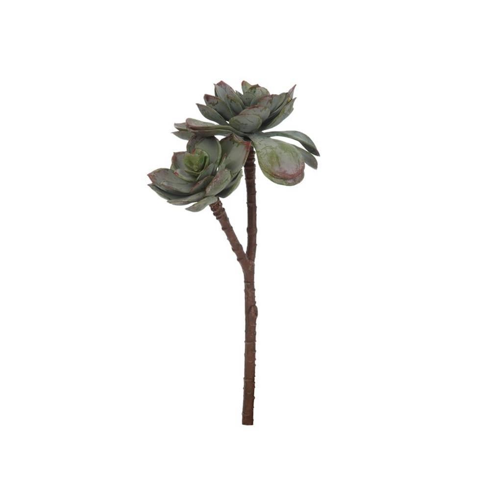 KUK 272-1205GYBU  ECHEVERIA PICK 25 CM.