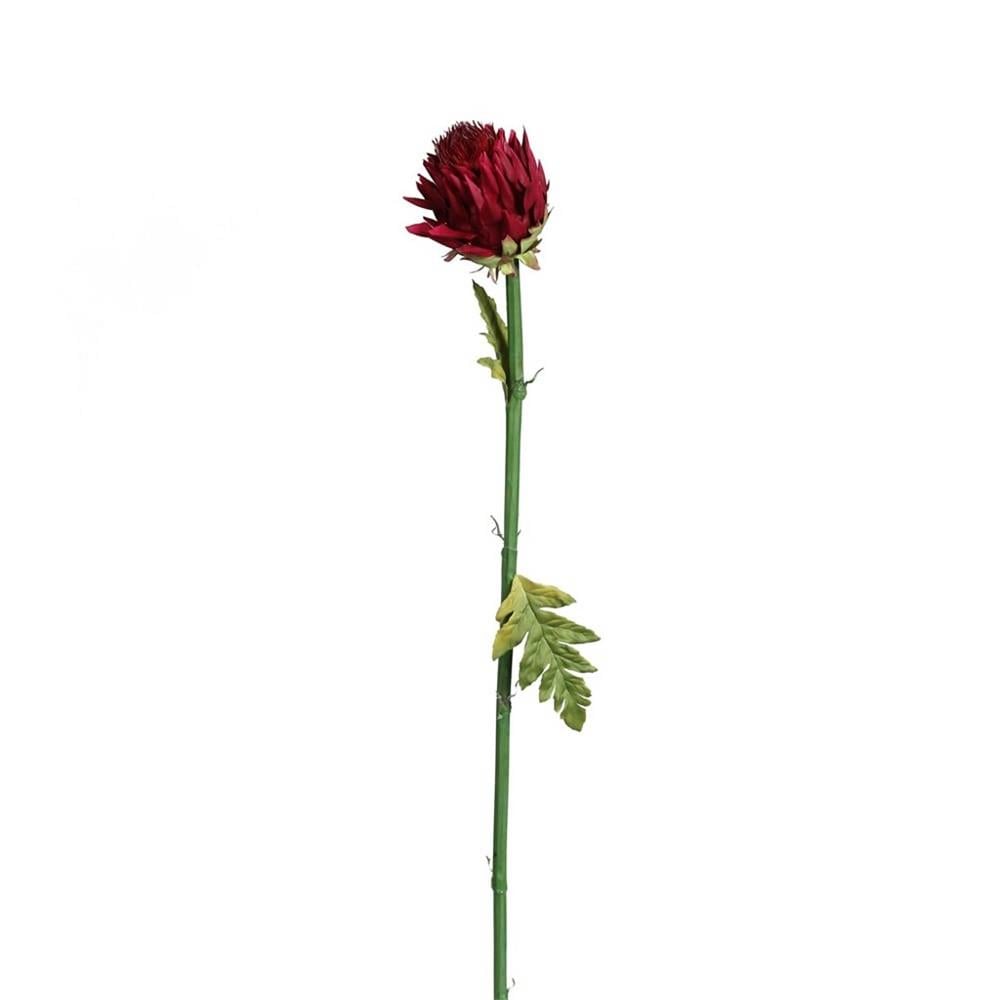 KUK 272-970 LOTUS FRUIT SPRAY