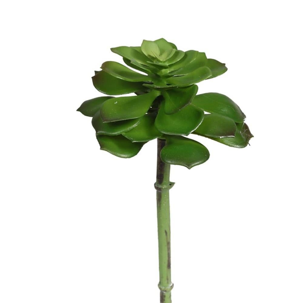 KUK 272-993 ECHEVERIA PICK 20 CM.