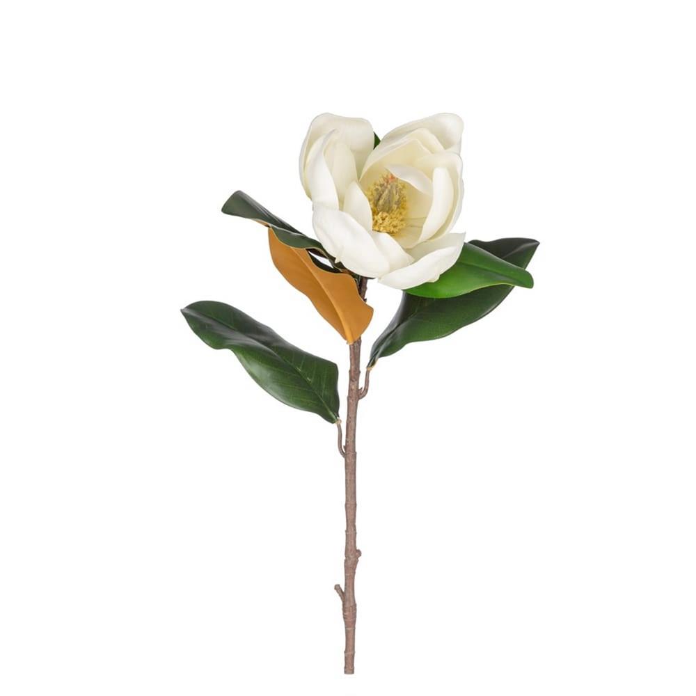 KUK 46-0272 SİNGLE MAGNOLİA 70 CM.