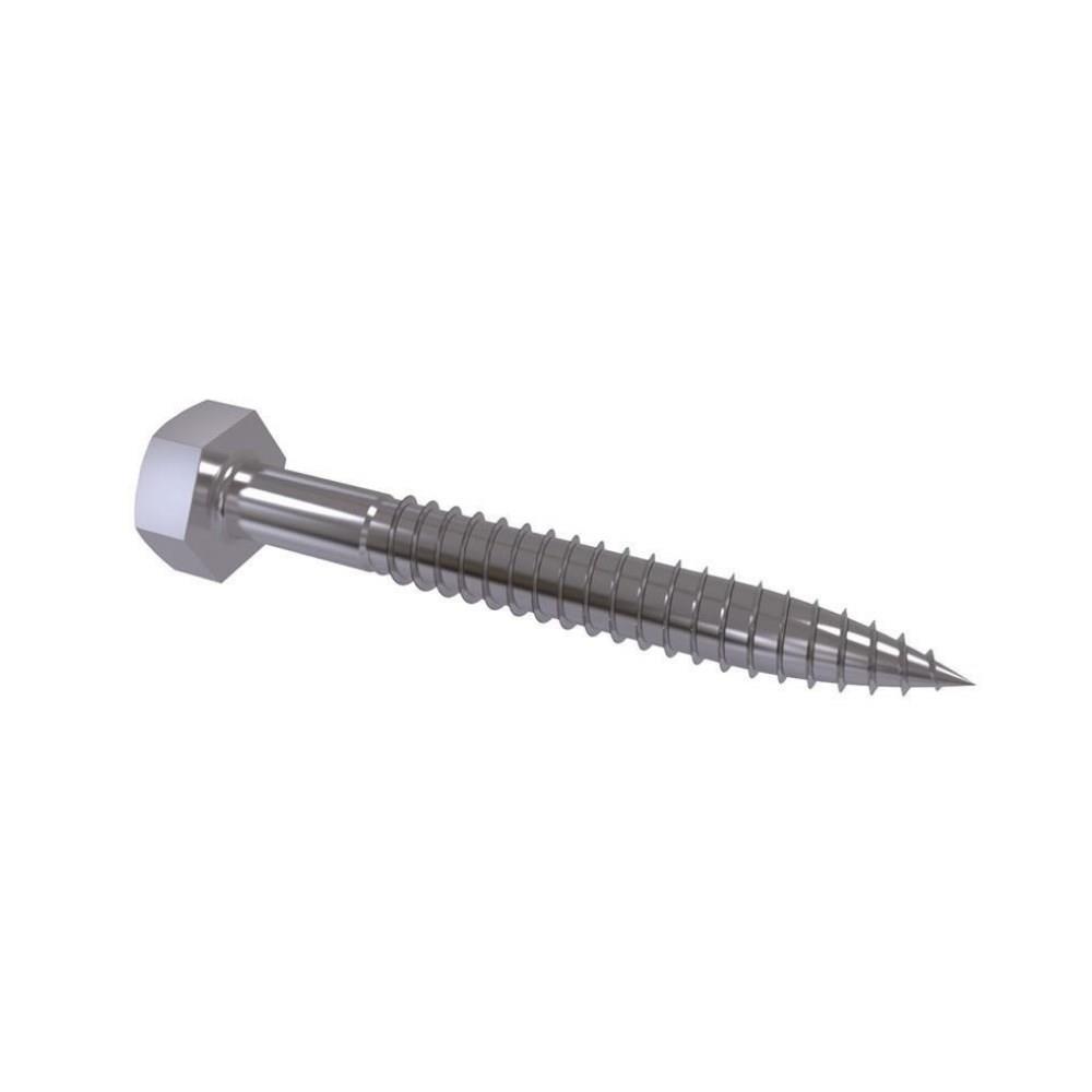1060-trifon-vida-din-571--b2235.jpg