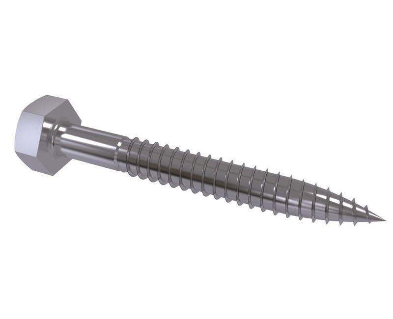 890-trifon-vida-din-571-1d0c3f.jpg