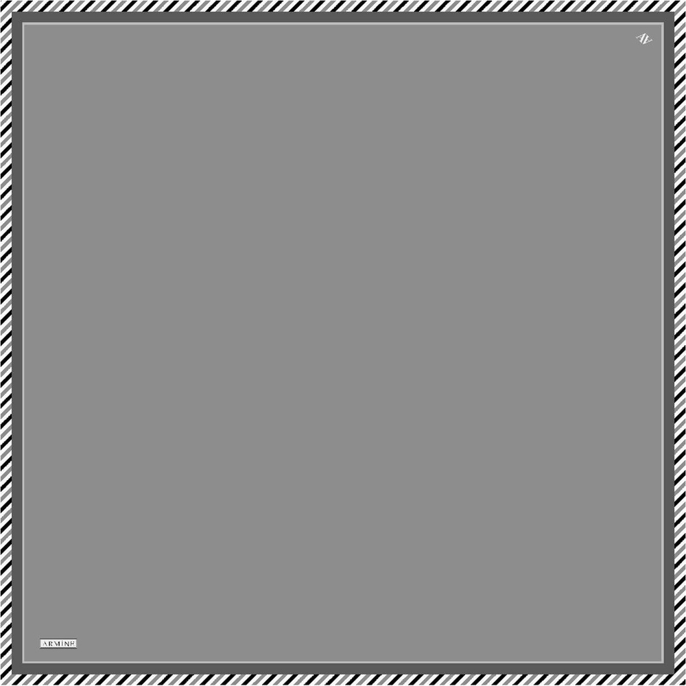 Armine İpek Eşarp 2023 Yaz 8966-59 Twill