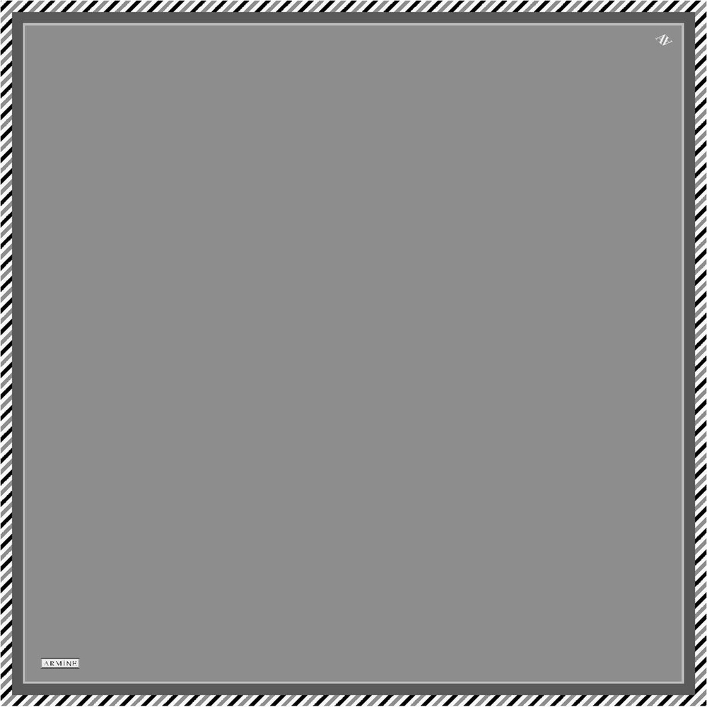 Armine İpek Eşarp 2023 Yaz 8966-59 Twill