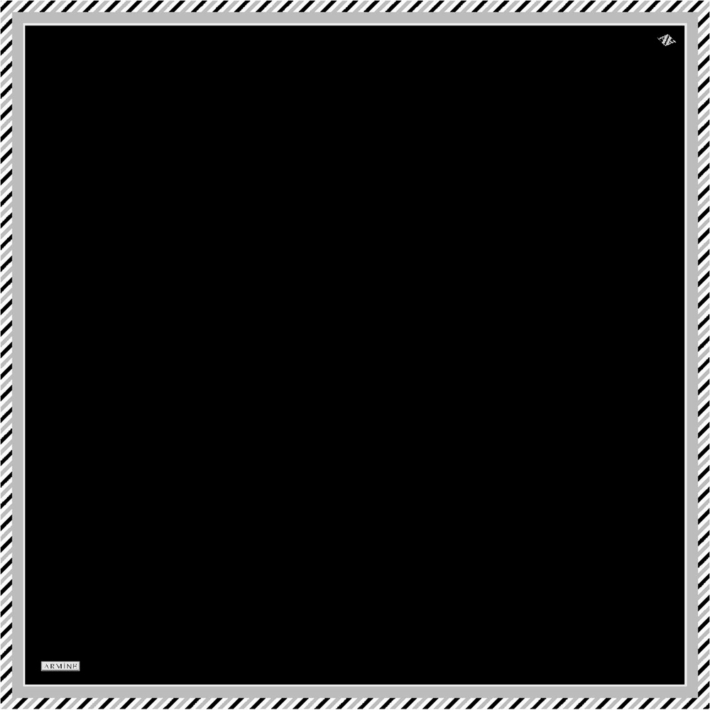 Armine İpek Eşarp 2023 Yaz 8966-69 Twill