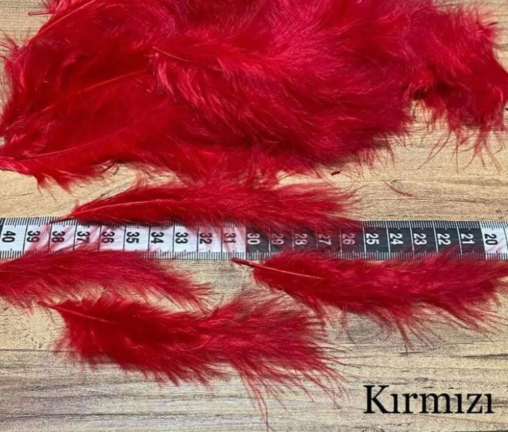 kirmizi-kus-tuyu-100-adet-e0fc2-.jpeg